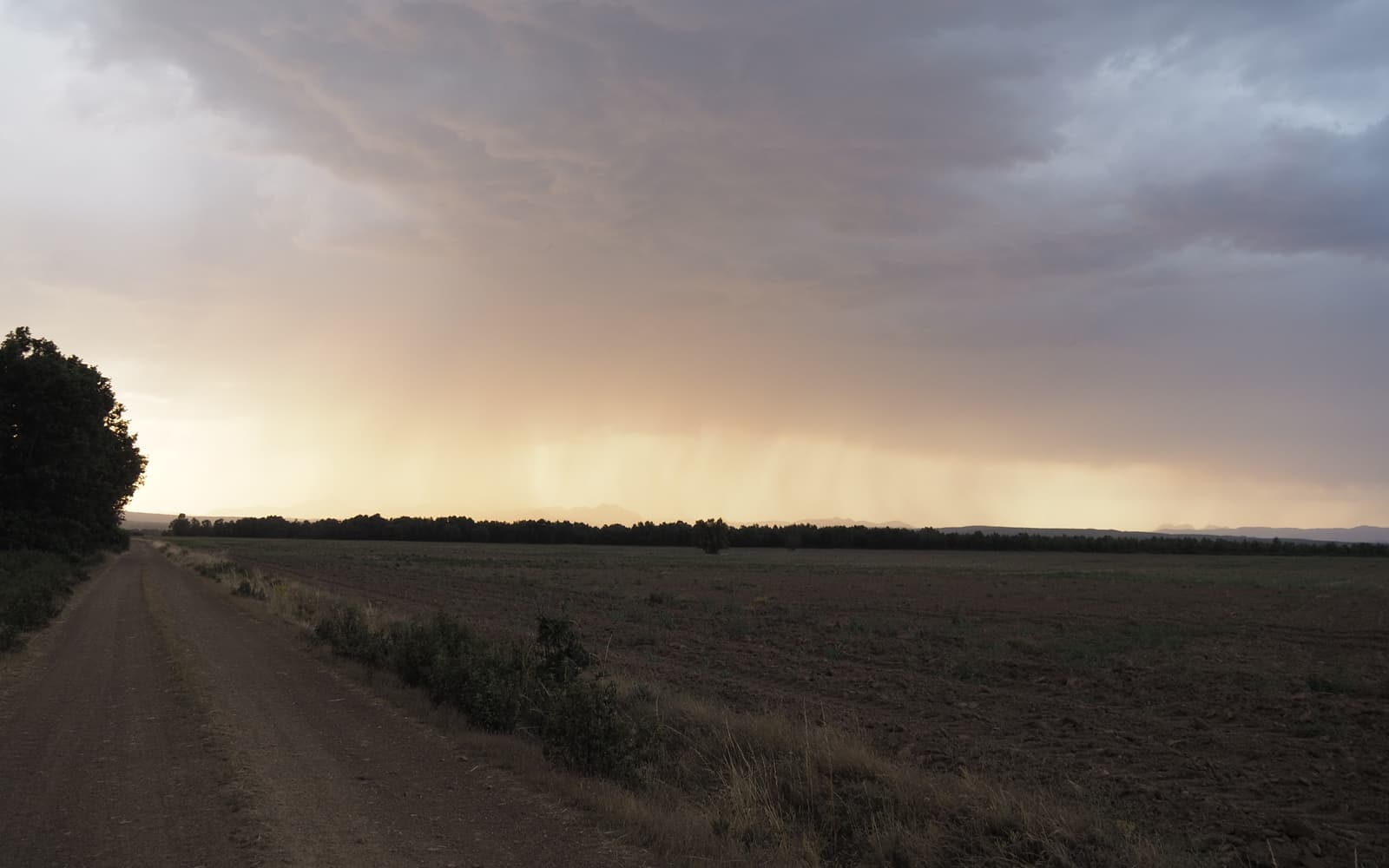 Sendero entre campos bajo cielo de tormenta (León)