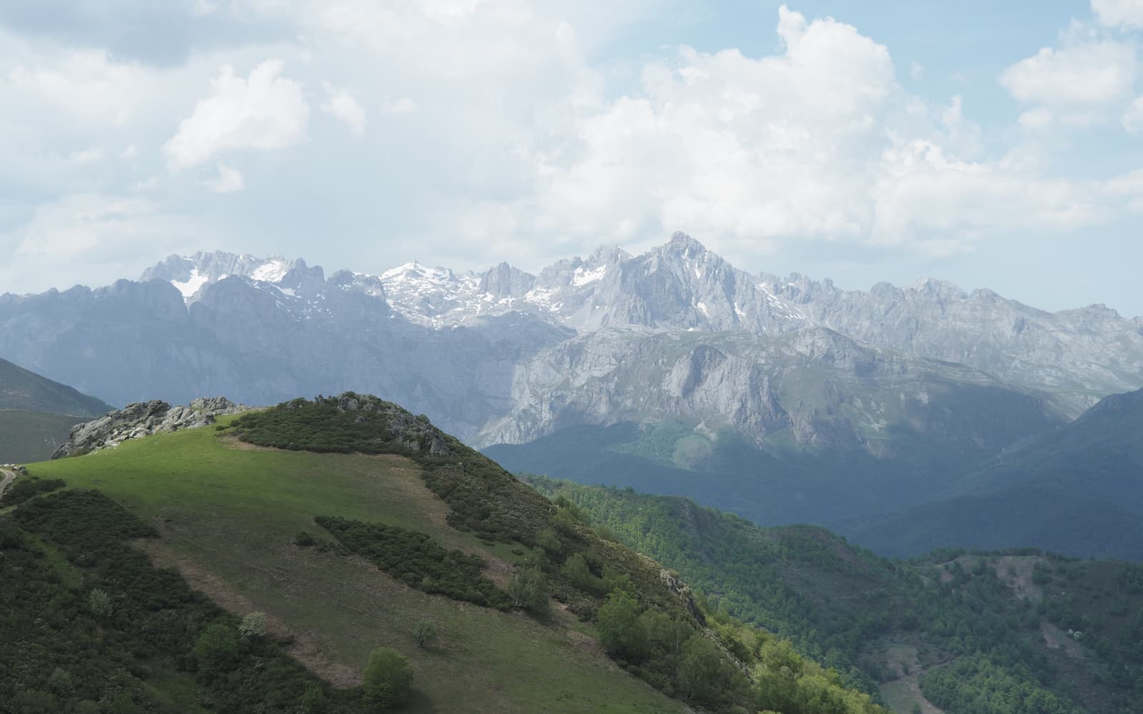 Loma verde ante los Picos de Europa