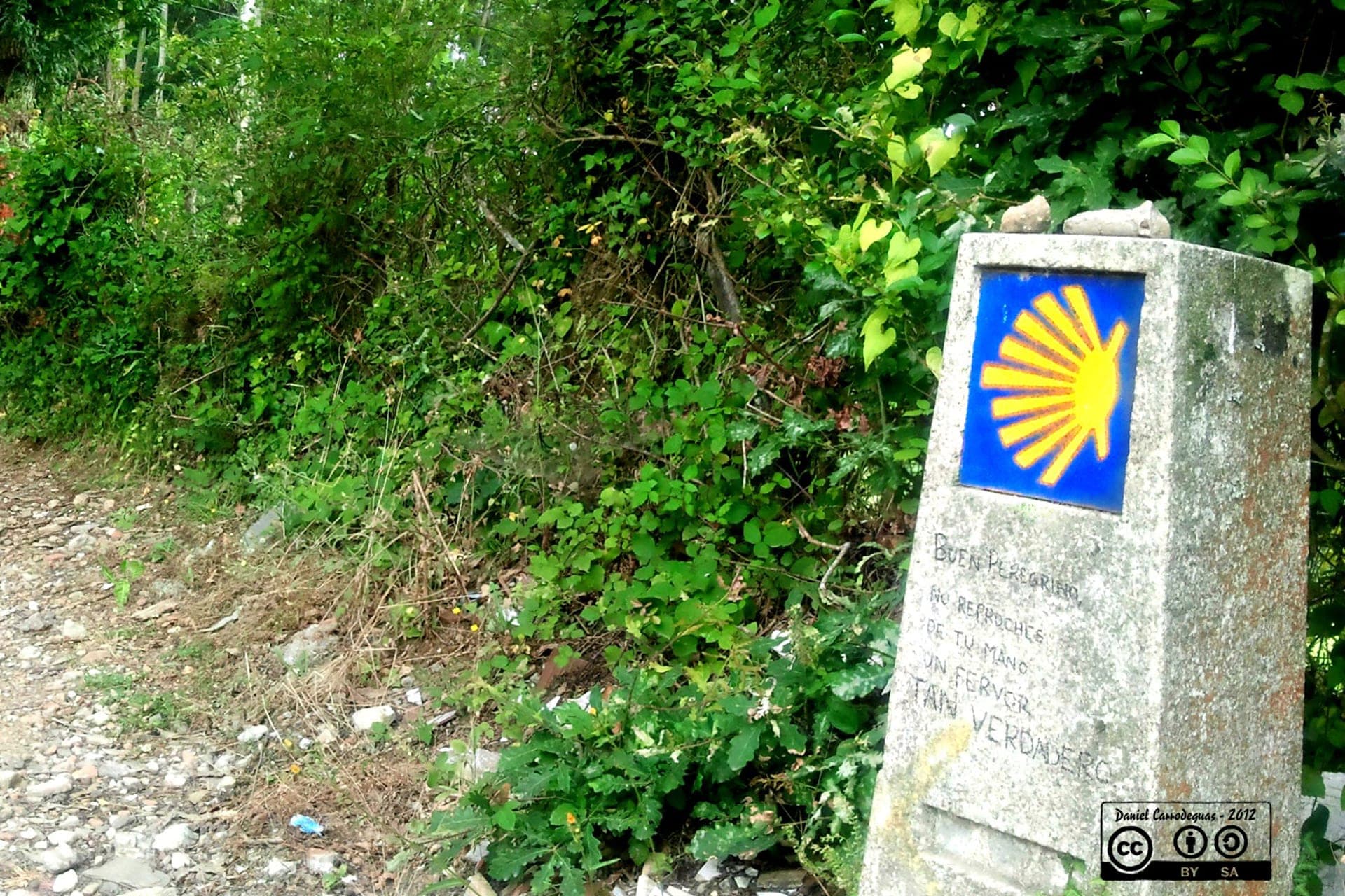 Paisaje del Camino Inglés